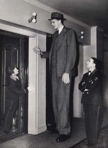 how tall was robert wadlow