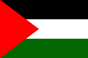 palestine flag dp