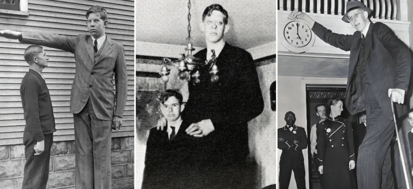 ROBERT WADLOW – WORLD'S TALLEST MAN EVER. - Showbiz House